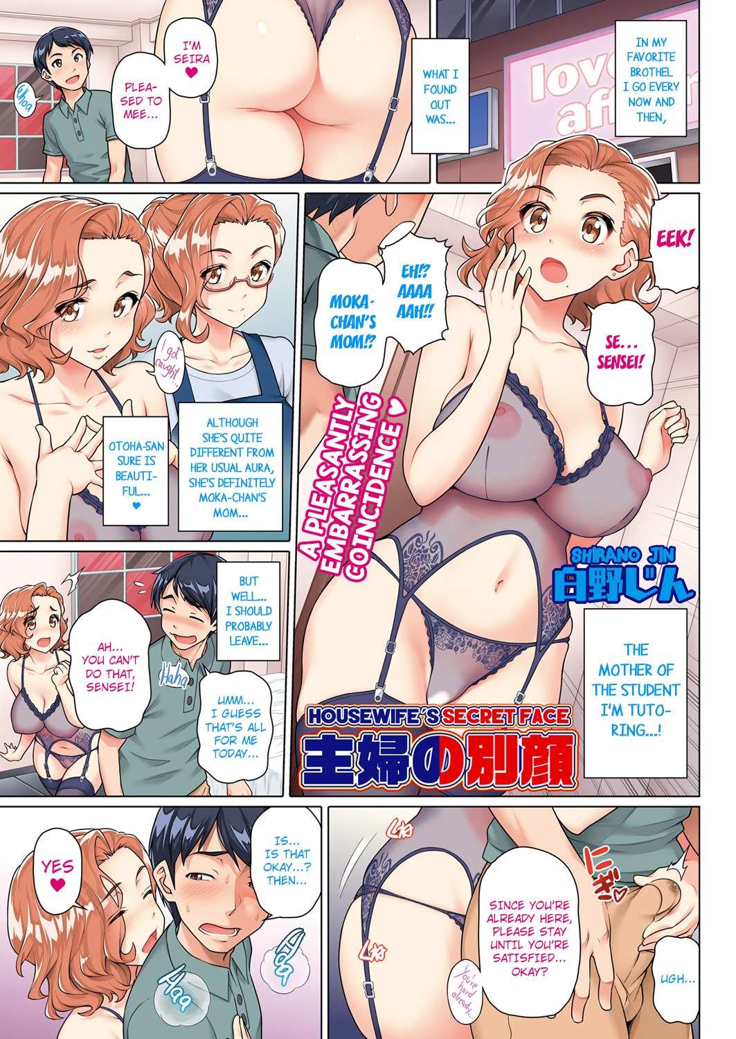 Housewife’s Secret Face – Shirano Jin