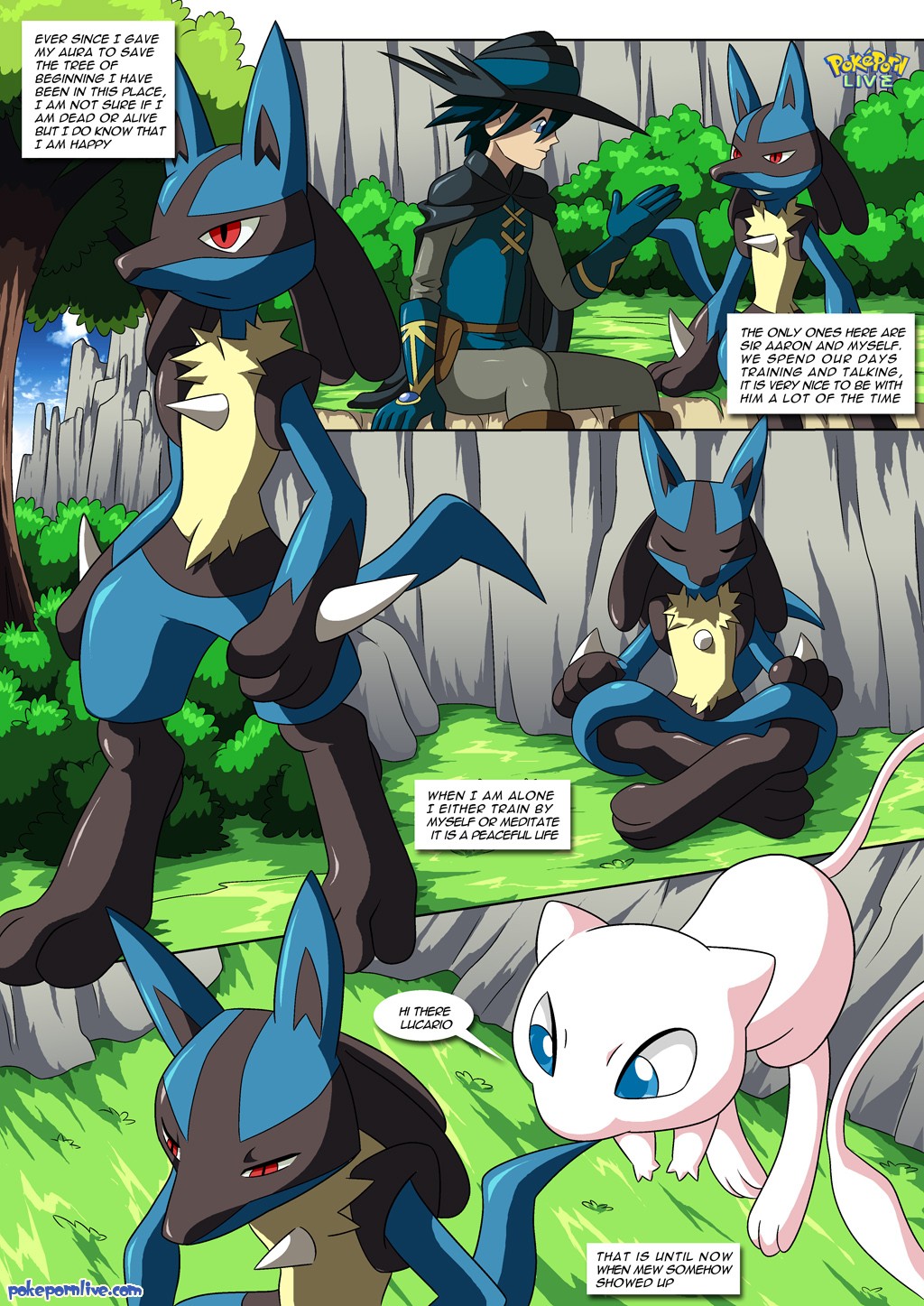 Lucario’s Gift