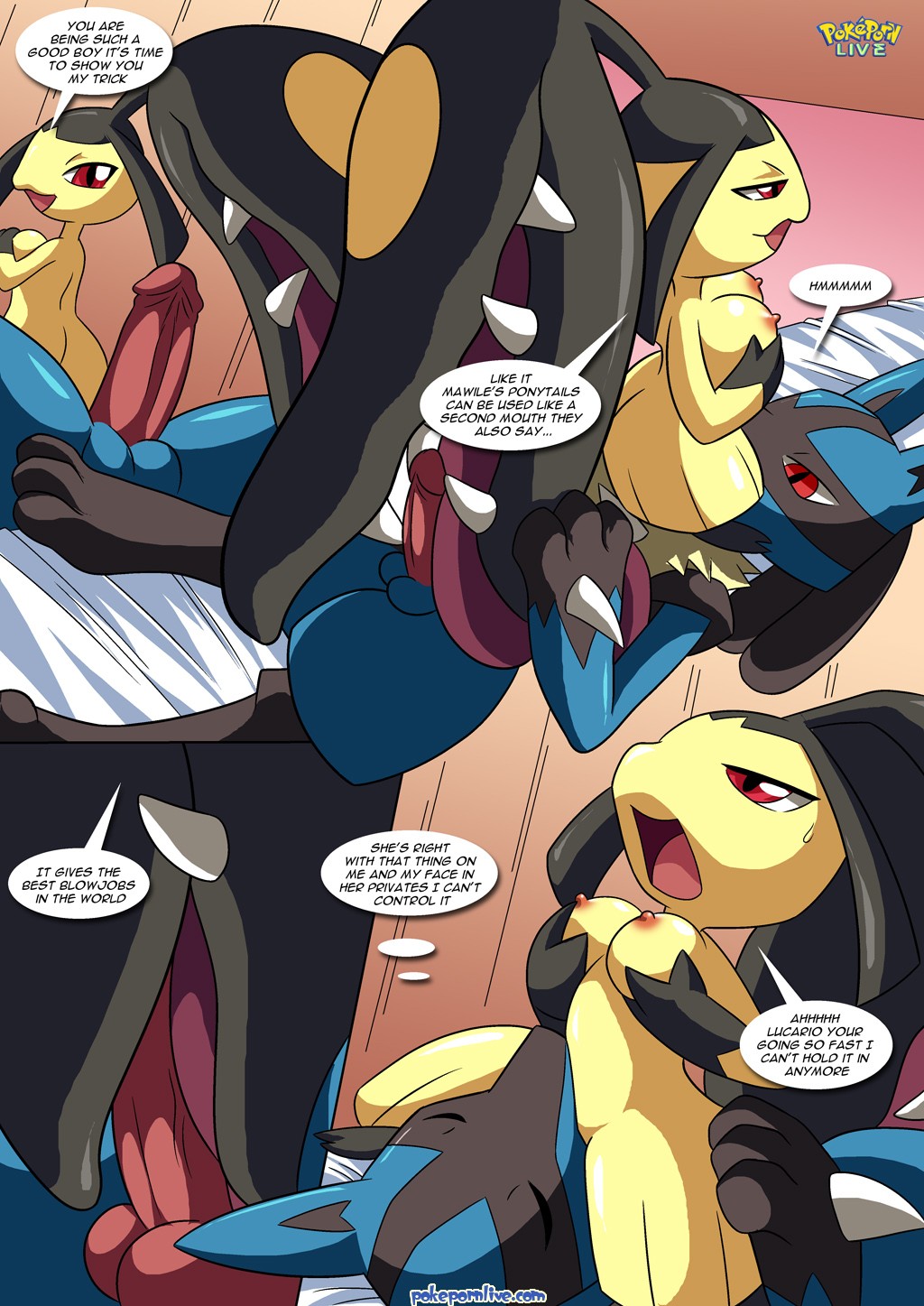 Lucario’s Gift