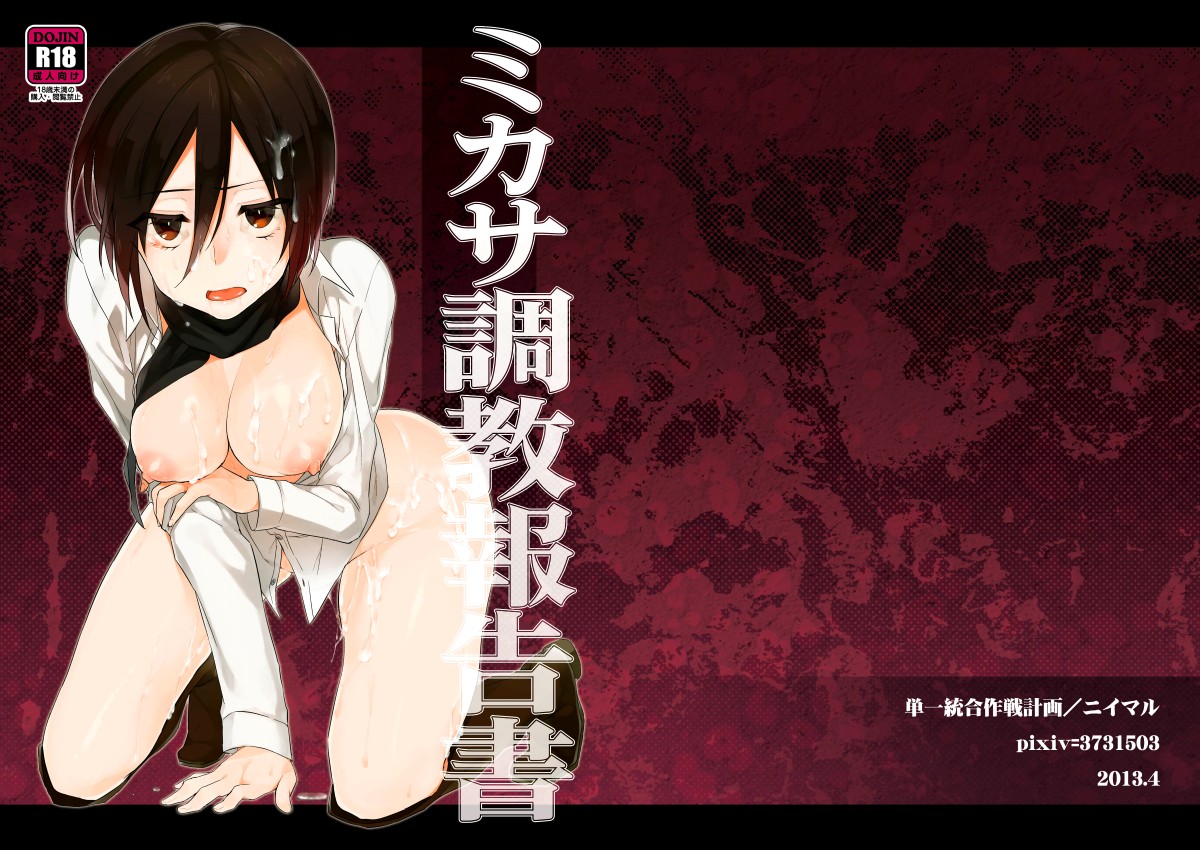 Mikasa’s Training Report